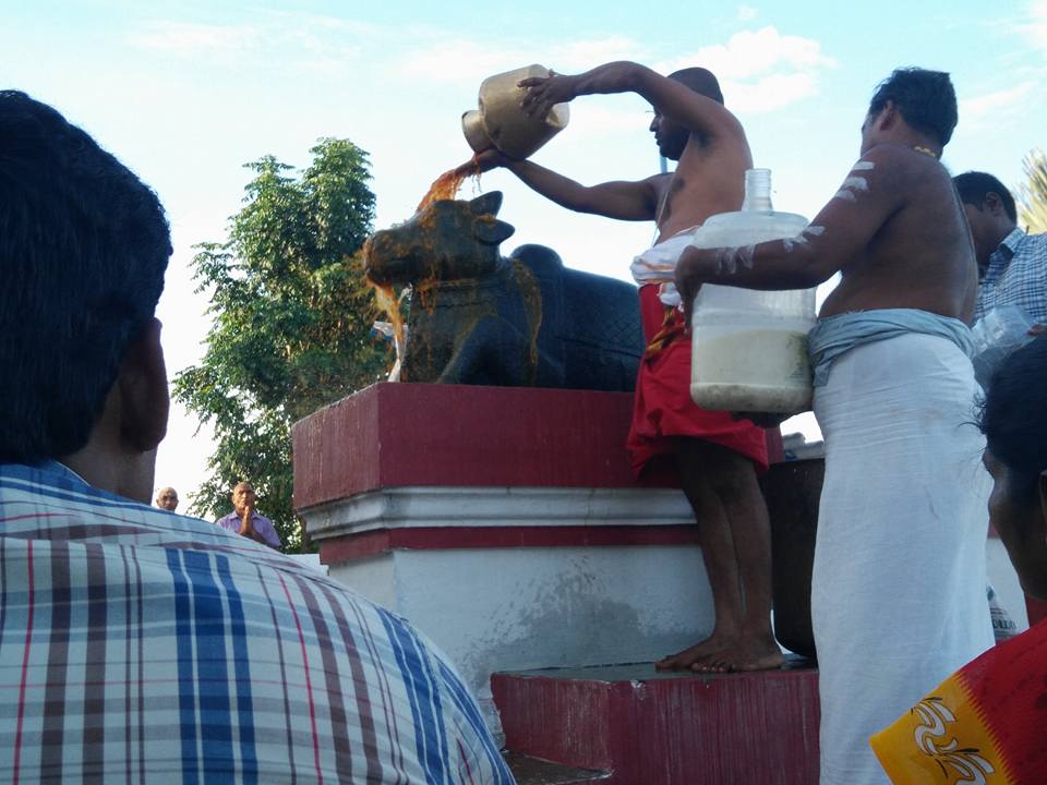 Injimedu Periyamalai Shiva Temple-nandhi_abshegam